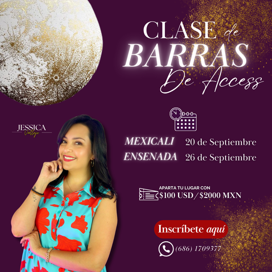 Clase de Barras de Access Mexicali