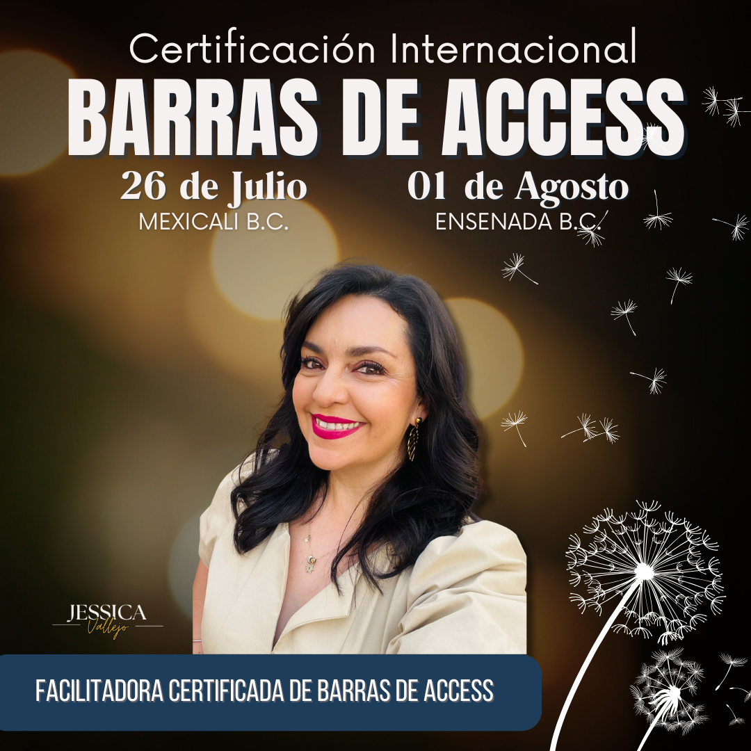 Clase de Barras de Access: Ensenada 01 de Agosto