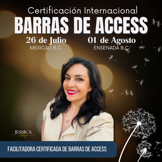 Clase de Barras de Access: Ensenada 01 de Agosto