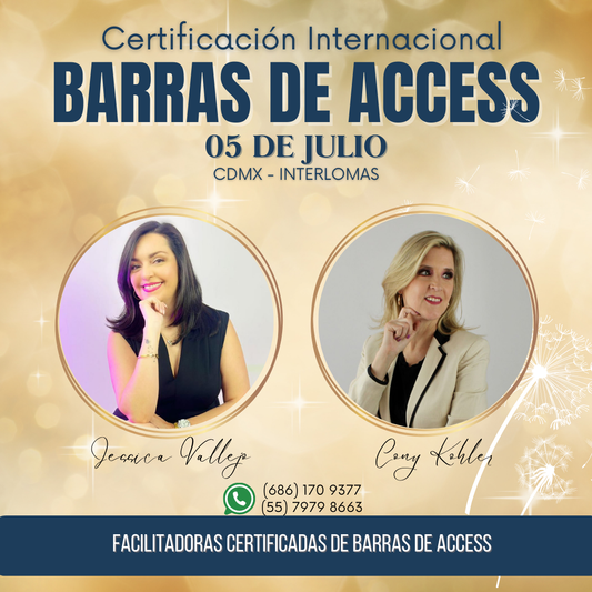 Clase de Barras de Access: CDMX 05 de Julio INTERLOMAS